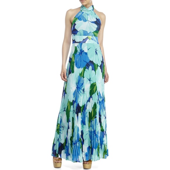 Eliza J Dresses & Skirts - Eliza J Chiffon Tropical Print Maxi Dress